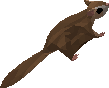 Squirk