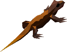 Lil' Red Skink